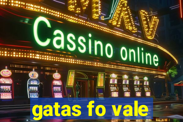 gatas fo vale